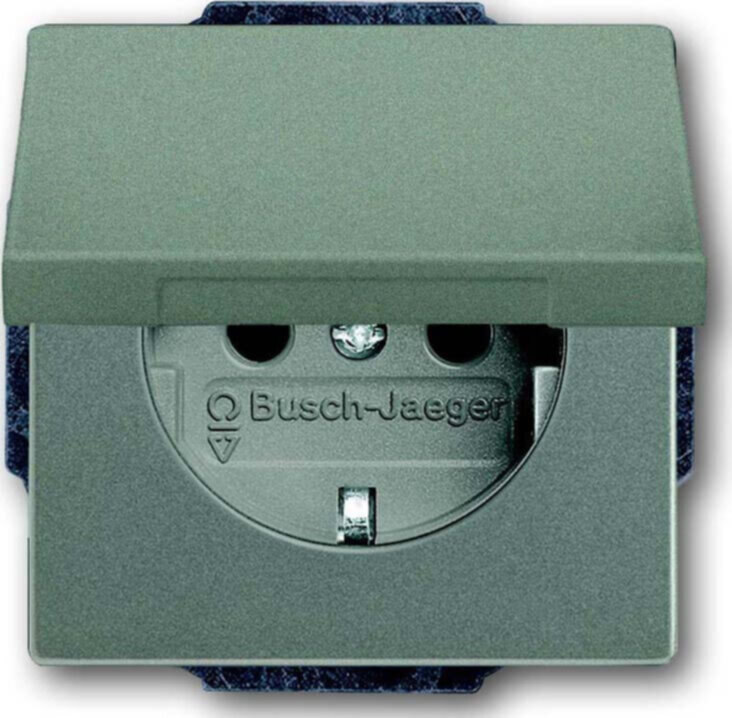 Busch-Jaeger Busch-Jaeger SCHUKO(R) Steckdosen-Einsatz mit Klappdeckel mete 20 EUK-803