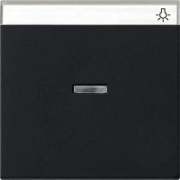 Gira Wippe schwarz Kontrollfenster+BSF 0670005