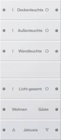 Gira Wippenset 6-fach beschr. Sys 55 reinweiß 220627