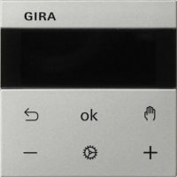 Gira RTR Display Edelstahl 5393600