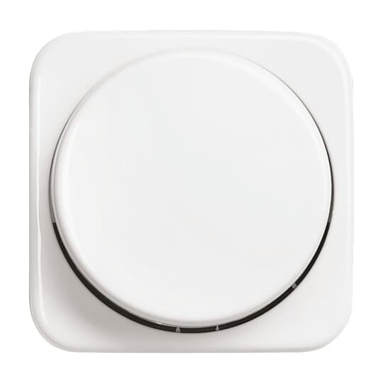 Busch-Jaeger Busch-Jaeger Zentralscheibe alpinweiß für UP-Drehdimmer 2115/11-214-500