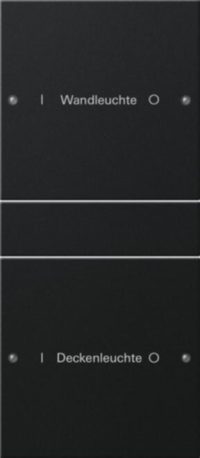 Gira Wippenset 2-fach beschr. Sys 55 schwarz 2202005