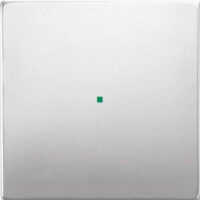 Busch-Jaeger Wippe Edelstahl pur Edelstahl 6230-10-866