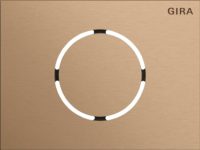 Gira Frontpl. Türstationsmodul Bronze 5579921