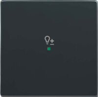 Busch-Jaeger Wippe 1-f Symbol Dimmer anthrazit 6234-10-81