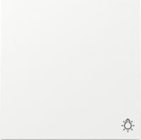 GIRA 328570 Wippe Symbol Licht Reinweiß glänzend