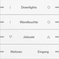 Gira Wippenset 4-fach Tastsens.4 TS4 reinweiß 5034927