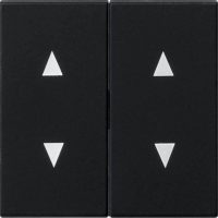 Gira Wippe 2fach schwarz Pfeilsymbol 1150005