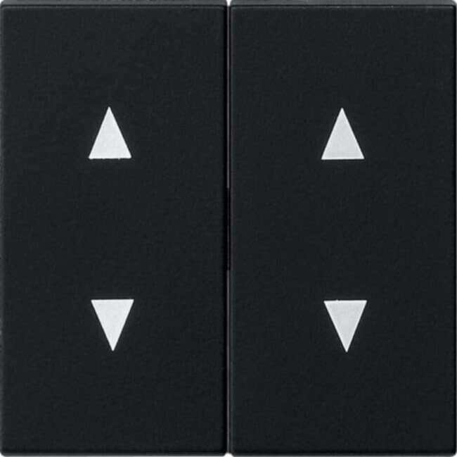 Gira Gira Wippe 2-fach schwarz Pfeilsymbol 1150005