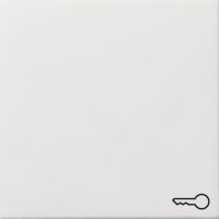 Gira Wippe Tür rws/gl 0287112