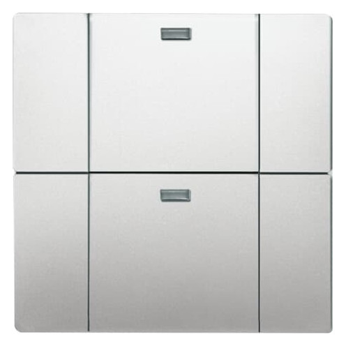 Busch-Jaeger Busch-Jaeger Bedienelement 2-fach edelstahl 6732-866