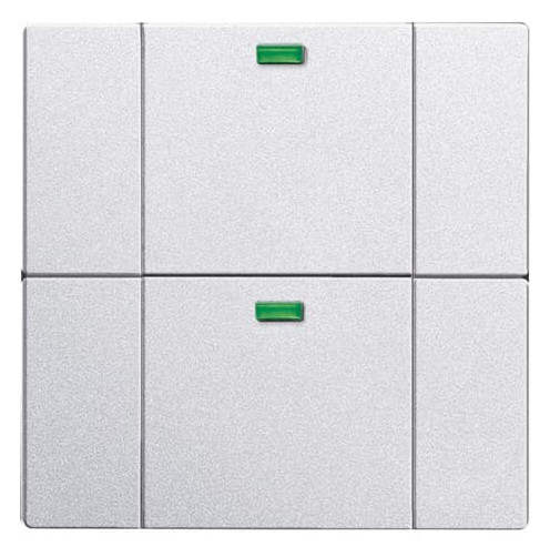 Busch-Jaeger Busch-Jaeger Bedienelement 2-fach Aluminium-Silber 6732-83