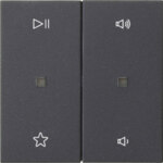 Gira Wippe 2-fach Audiostrg Anthrazit 538428