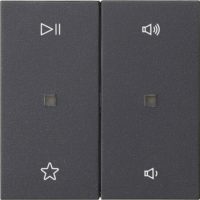 Gira Wippe 2fach Audiostrg Anthrazit 538428