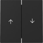 Gira 3294005 Wippe 2-fach Pfeil System 55 Schwarz matt (lackiert)
