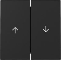 GIRA 3294005 Wippe 2fach Pfeil System 55 Schwarz matt (lackiert)