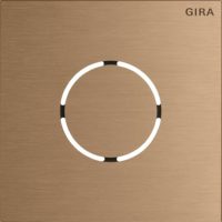 Gira Frontpl. Sprachmodul Bronze 5578921