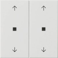 Gira Wippe 2-fach Reinweiß 538603