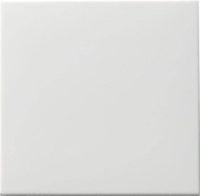 Gira Wippe reinweiß f. Tastschalter 091603