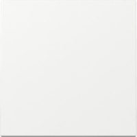 GIRA 329603 Wippe System 55 Reinweiß glänzend