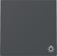 GIRA 328528 Wippe Symbol Licht System 55 Anthrazit