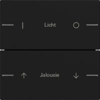 Gira Wippenset 2-fach indiv. Tastsensor Schwarz 5762005