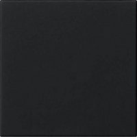 Gira Bedienaufsatz schwarz S3000 5360005