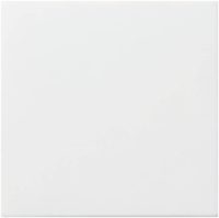 Gira Abdeckung f. Leereinheit rw mt 022527