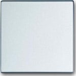 Busch-Jaeger Wippe Aluminium-Silber Ausschalter, Wechselschalter, Kreuzschalter, Taster 1786-83
