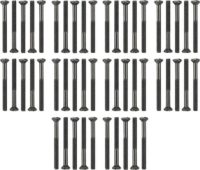 Gira Linsenkopfschrauben-Set 50Stck. WG AP 818100