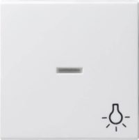 Gira Wippe Licht reinweiß m.Fenster,System55 067427