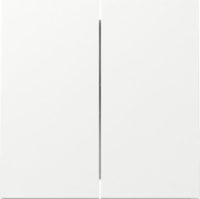 GIRA 329570 Wippe System Fläche 2 Fach Reinweiß glänzend