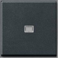 Gira Wippe Kontroll. anthrazit 029067