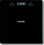 Busch-Jaeger Zentralscheibe schwarz matt für Cardschalter 1792-885