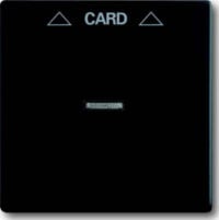 Busch-Jaeger Zentralscheibe schwarz matt für Cardschalter 1792-885