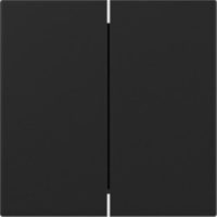 GIRA 3495005 Wippe 2fach gerade System 55 Schwarz matt (lackiert)