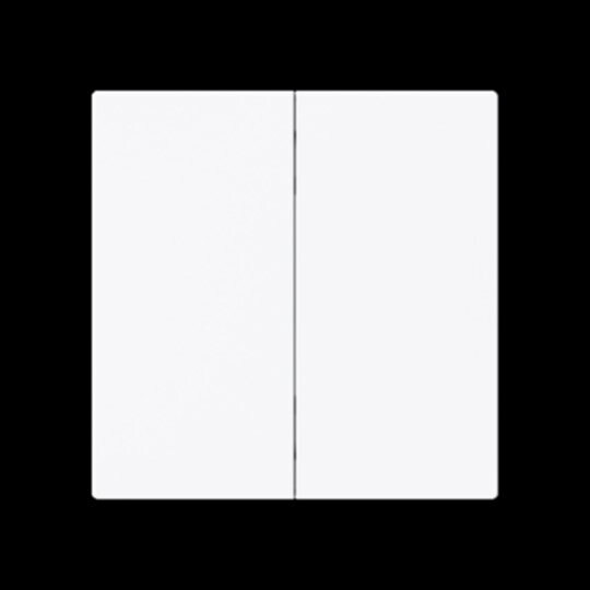 Busch-Jaeger Taste_2t Symbol Dimmer glänzend 6736 FoH-44G studioweiß