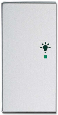 Busch-Jaeger Wippe 2-f li, Symbol Licht Aluminium-Silber 6231-21-83