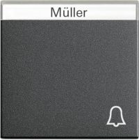 Gira Wippe Klingel anthrazit m.Schriftf.,System55 067328