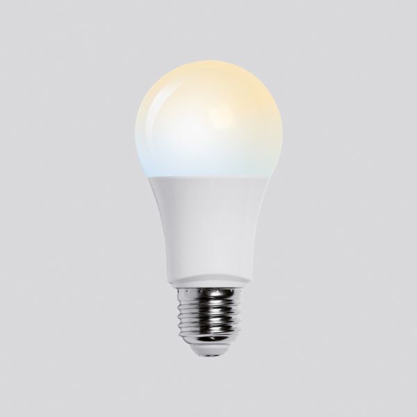 BEGA LED-Lampe E27 A60 9W 2700-6500K ws 13556 805lm F mattiert dim AC Ø60x120mm