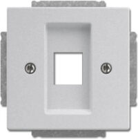 Busch-Jaeger Zentralscheibe Aluminium-Silber Abdeckung 2561-83