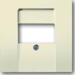 Busch-Jaeger Zentralscheibe sav/ews für UAE/TAE/LS 1766-82