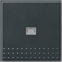 Gira Wippschalter anthrazit m. Kontrollfenster 091467