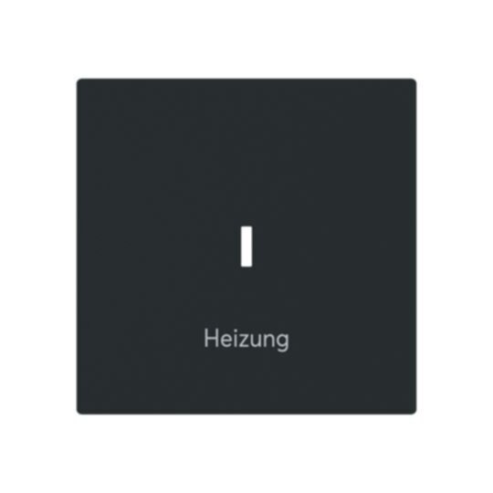 Busch-Jaeger Busch-Jaeger Wippe Schalter schwarz matt 1789 H-45M