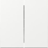 GIRA 329503 Wippe 2fach System 55 Reinweiß glänzend