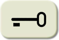 Busch-Jaeger Tastersymbol Schlüssel 2525 TR