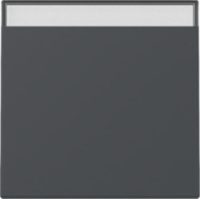 GIRA 329928 Wippe Beschriftungsfeld System 55 Anthrazit