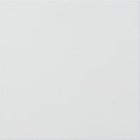 Gira Info-/Blindmodul verkehrsweiß (lackiert) 5554902