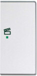 Busch-Jaeger Wippe 2-f re Symbol Szene Aluminium-Silber 6233-22-83