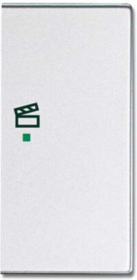 Busch-Jaeger Wippe 2-f re Symbol Szene Aluminium-Silber 6233-22-83